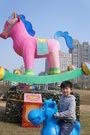 賞花燈 (2)