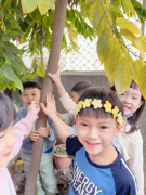  配合主題來認識校園裡的大樹.jpg