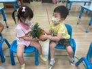 2.讓每位幼兒傳遞水果，摸一摸水果的外皮和重量!.jpg