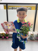 花花草草