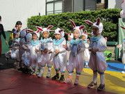 送走平安的兔年