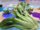 10原來是青江菜喔!.jpg
