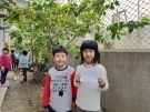 10檸檬樹沒檸檬味