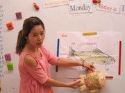 3.介紹魚的身體構造
