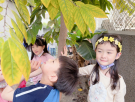 摸一摸樹皮.jpg