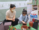 挖洞埋種子.jpg