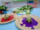 9這是什麼青菜呀_.jpg