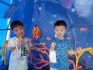 我喜歡小丑魚