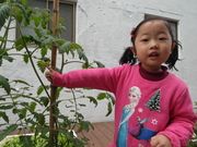是黃色的小黃花耶