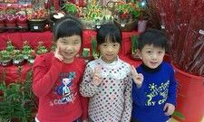 開運盆栽