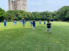 小白兔跳呀跳.jpg