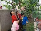 3觀察每一棵樹、摸一摸並聞一聞氣味