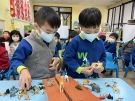 我抽到什麼動物卡
