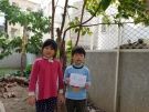 8沒想到釋迦樹長這樣