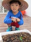 我唱歌辣椒會長得更快