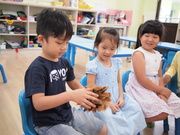4觸摸鳥兒的羽毛