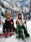 好玩的雪車