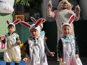 可愛的兔年