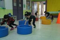 PE 體能~推動輪胎